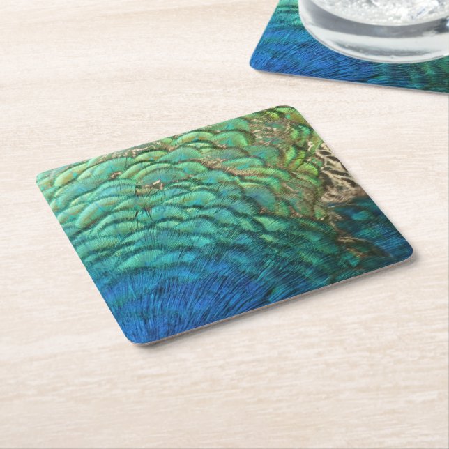 Peacock Feathers I Colourful Abstract Nature Desig Square Paper Coaster (Angled)