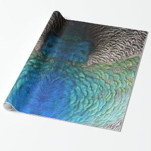 Peacock Feathers I Colourful Abstract Nature Desig Wrapping Paper