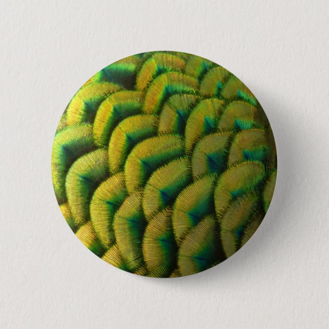 Peacock Feathers II Colourful Nature 6 Cm Round Badge (Front)