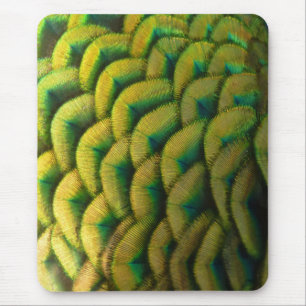 Peacock Feathers II Colourful Nature Mouse Mat