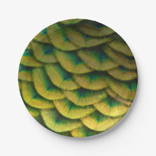 Peacock Feathers II Colourful Nature Paper Plate