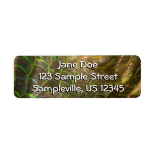 Peacock Feathers III (Female) Subtle Nature Design