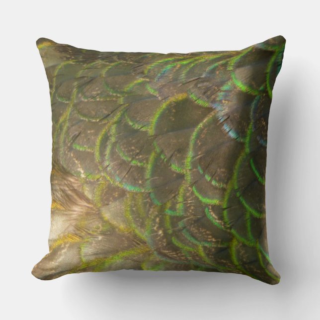 Peacock Feathers III (Female) Subtle Nature Design Cushion (Front)