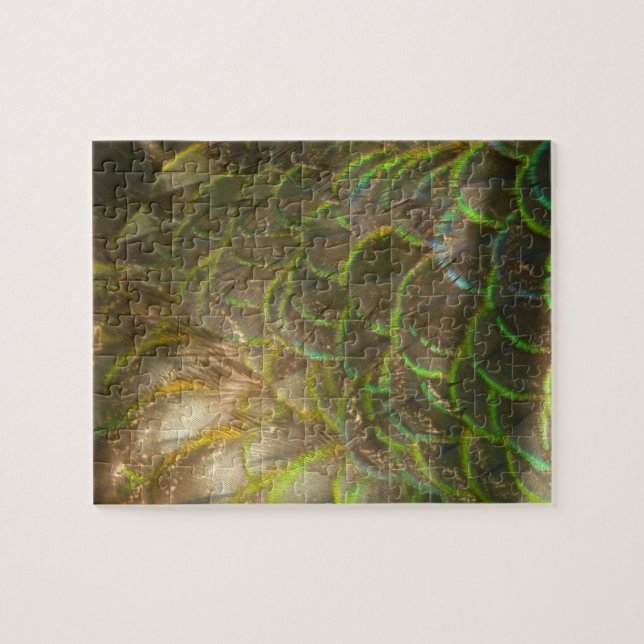 Peacock Feathers III (Female) Subtle Nature Design Jigsaw Puzzle (Horizontal)
