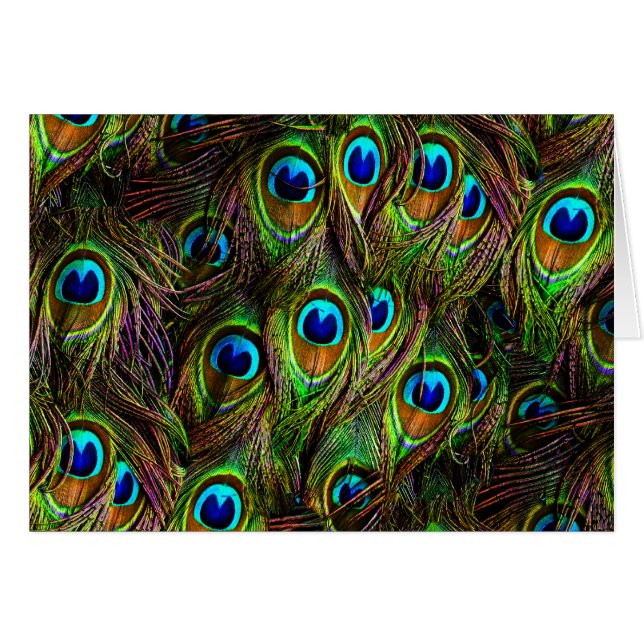 Peacock Feathers Invasion (Front Horizontal)