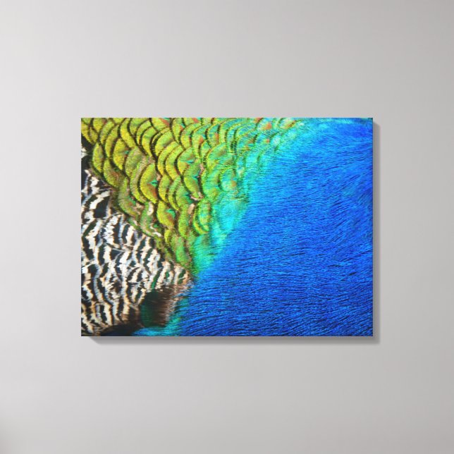 Peacock Feathers IV Colourful Abstract Nature Canvas Print (Front)
