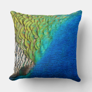 Peacock Feathers IV Colourful Abstract Nature Cushion