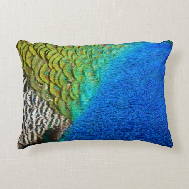 Peacock Feathers IV Colourful Abstract Nature Decorative Cushion (Front)