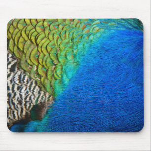 Peacock Feathers IV Colourful Abstract Nature Mouse Mat
