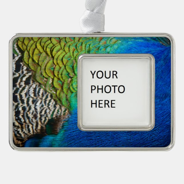 Peacock Feathers IV Colourful Abstract Nature Silver Plated Framed Ornament (Front)