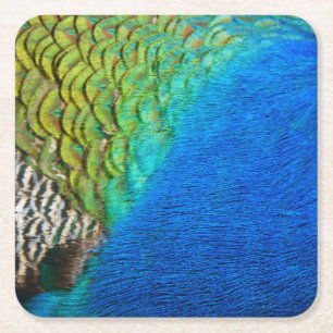 Peacock Feathers IV Colourful Abstract Nature Square Paper Coaster
