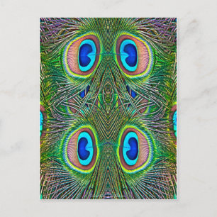 Peacock Feathers Kaleidoscope Print Postcard