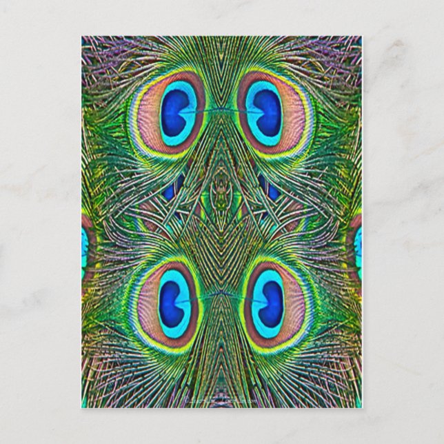 Peacock Feathers Kaleidoscope Print Postcard (Front)