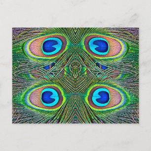 Peacock Feathers Kaleidoscope Print Postcard