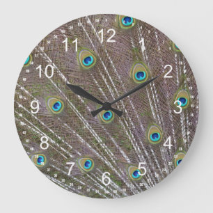 Peacock Feathers Large Clock