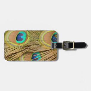 Peacock Feathers Luggage Tag