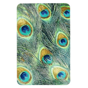 PEACOCK FEATHERS Magnet