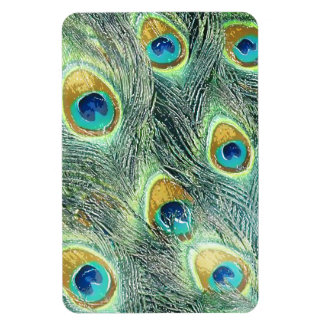 PEACOCK FEATHERS Magnet