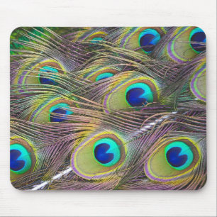 Peacock Feathers Mouse Mat