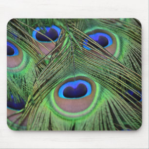 Peacock Feathers Mouse Mat