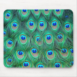 peacock feathers mouse mat