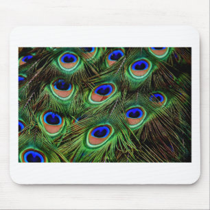 Peacock Feathers Mouse Mat