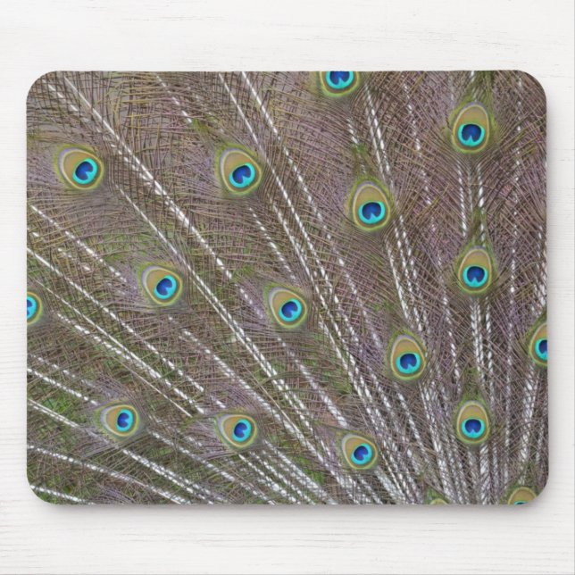 Peacock Feathers Mouse Mat (Front)