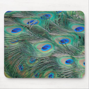 Peacock Feathers Mouse Mat