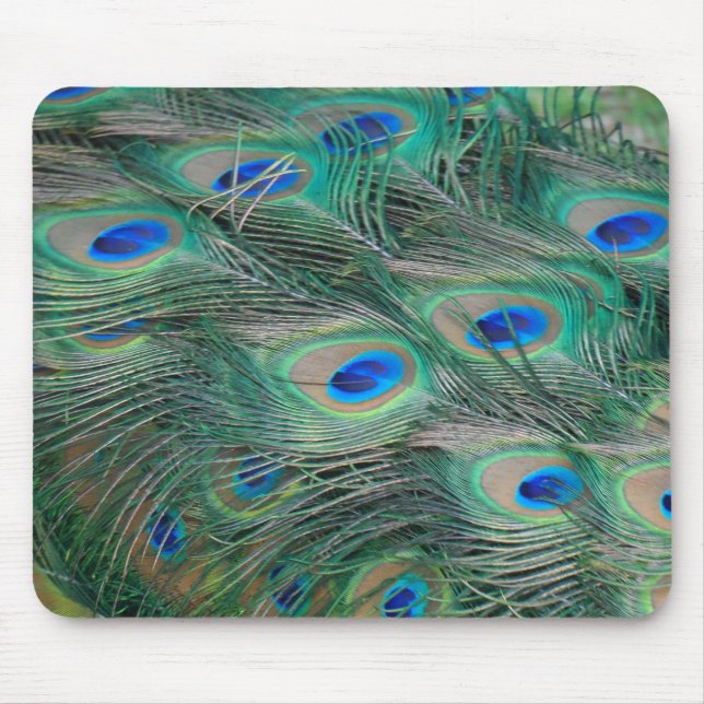 Peacock Feathers Mouse Mat (Front)