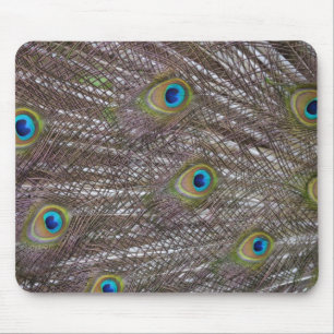 Peacock Feathers Mouse Mat