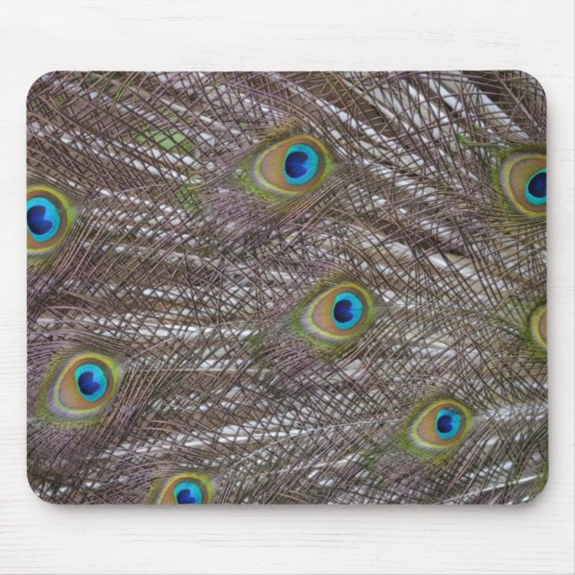 Peacock Feathers Mouse Mat (Front)