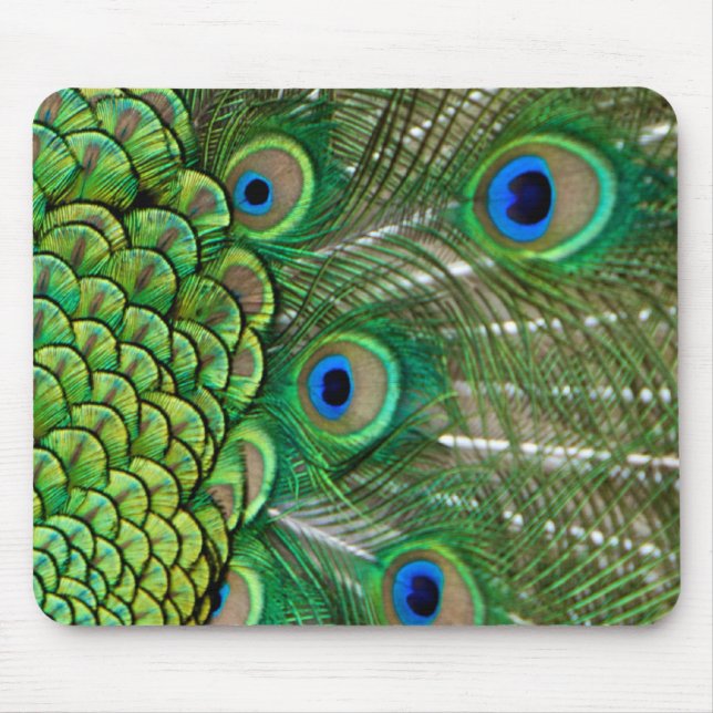 Peacock Feathers Mouse Mat (Front)