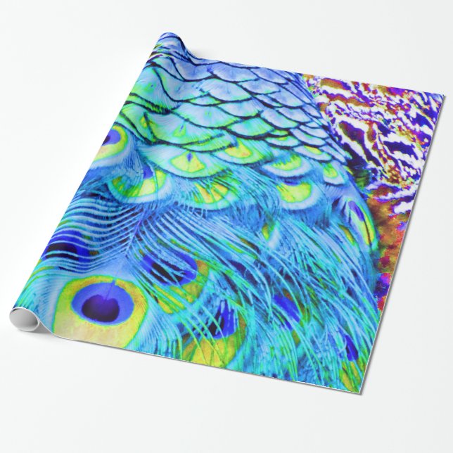 Peacock Feathers Multi Colours Wrapping Paper (Unrolled)