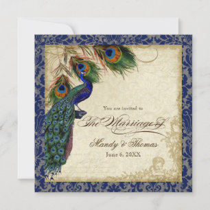 Peacock & Feathers Navy Blue Lace Wedding Square Invitation