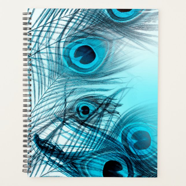 Peacock Feathers Planner (Front)