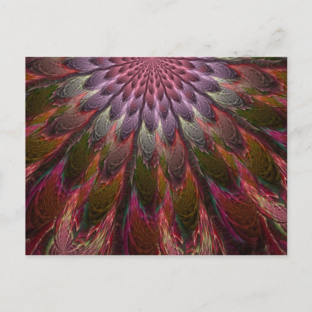 Peacock Feathers Postcard (Front)
