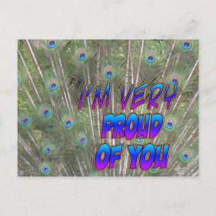 Peacock Feathers Proud Postcard