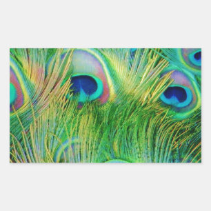 Peacock Feathers Rectangular Sticker
