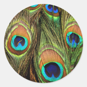 Peacock Feathers Round Stickers