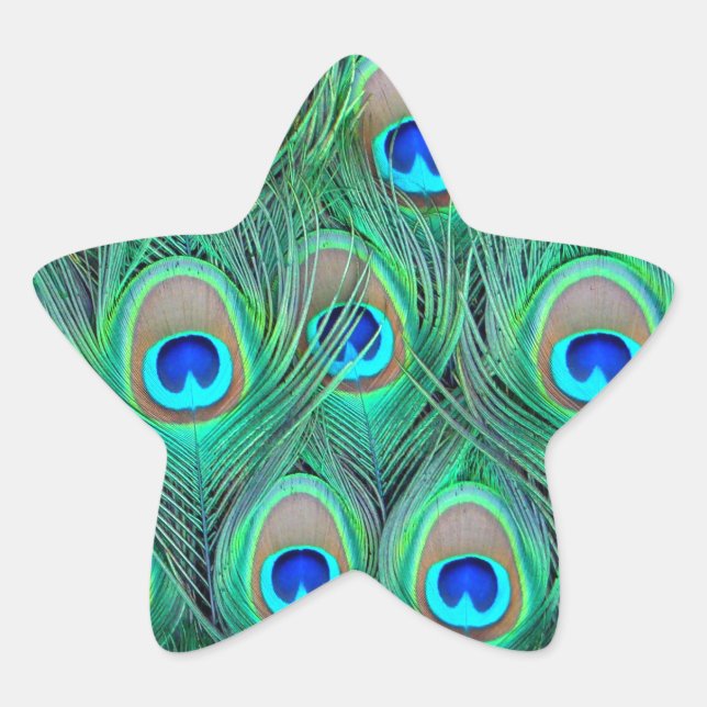 Peacock Feathers Star Sticker (Front)