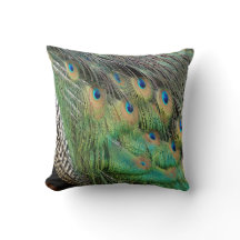 Peacock Feathers Tan Green And blue Colours