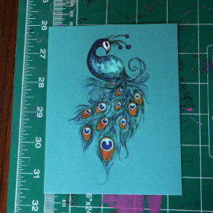 Peacock Feathers Teal Peacocks        Postcard