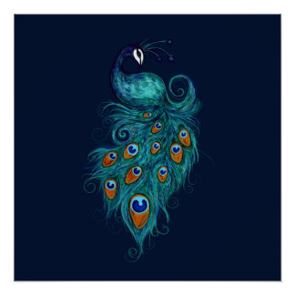 Peacock Feathers Teal Peacocks Poster