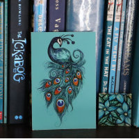 Peacock Feathers Teal Peacocks