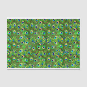 Peacock Feathers Tissue giftwrap Tissue Paper