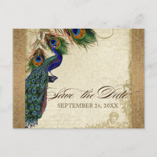 Peacock & Feathers Vintage Gold Look Damask  Swirl Invitation Postcard