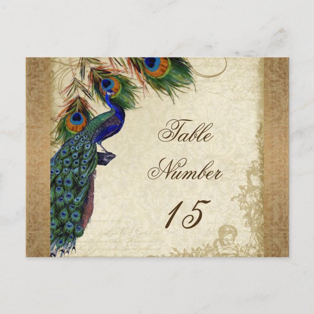 Peacock & Feathers Vintage Gold Look Damask  Swirl Postcard (Front)