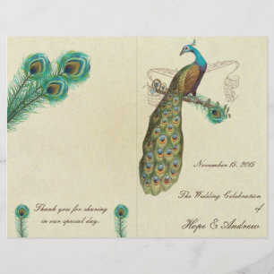 Peacock Feathers Wedding Program 3