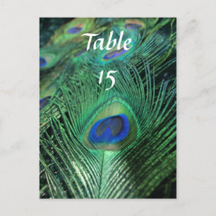 Peacock Feathers Wedding Table Numbers Postcard