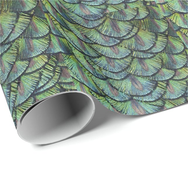 Peacock Feathers Wrapping Paper (Roll Corner)